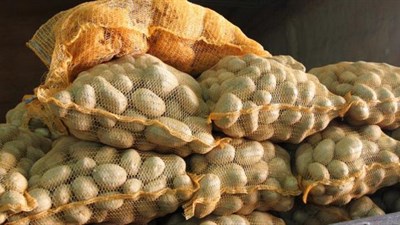 Je li opasno jesti krumpir koji je proklijao? Evo što trebate znati prije nego ga pripremite