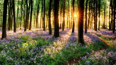 Temperature idu i do 24 stupnja! Evo kakvo nas vrijeme čeka idućih dana