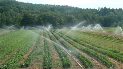 Splitsko-dalmatinska županija daje do 26.600 eura za sustave navodnjavanja 