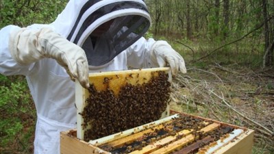 Za poljoprivrednike više od 5,8 milijuna KM, evo tko je dobio poticaje i koliko