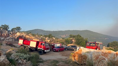 FOTO - Zbog požara kod Gruda zatražen i helikopter OSBIH