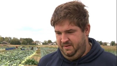 Mladom poljoprivredniku preko noći ukradeno 5 tona paprika i uništene cijevi za navodnjavanje