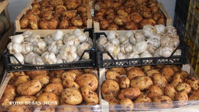 Grudski proizvod dominira na tržnici! Najveći luk je iz Sovića