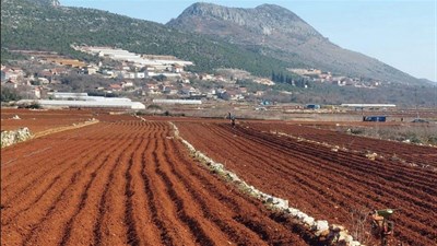 Ljubušaci zasadili 85 posto planirane količine krumpira