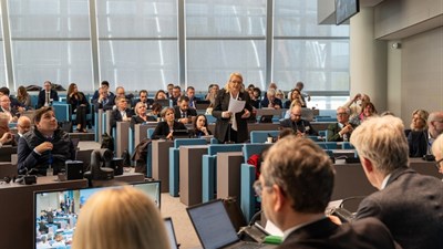 Bradara izabrana za potpredsjednicu Doma regija Vijeća Europe