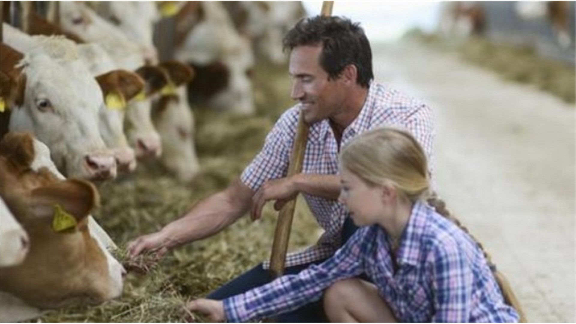 Uvoz mesa i žita bacio na koljena BiH