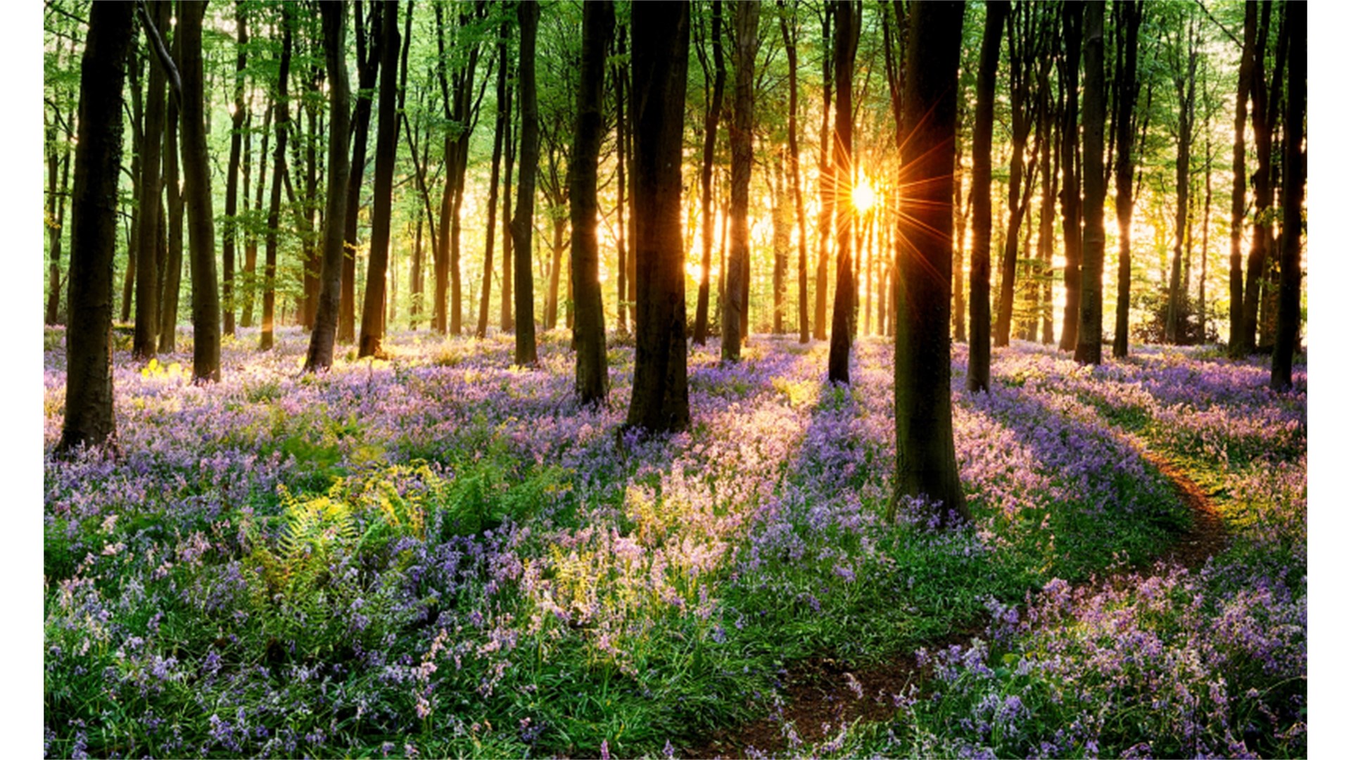 Temperature idu i do 24 stupnja! Evo kakvo nas vrijeme čeka idućih dana