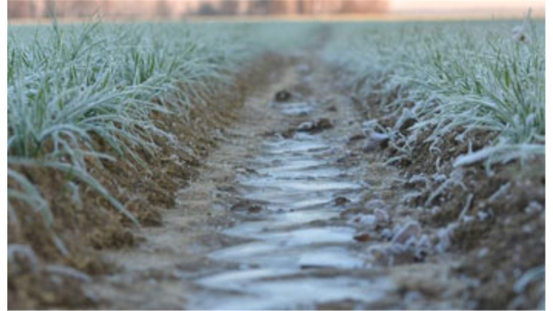 Severe Weather Europe: Stiže val hladnoće, temperature padaju i do 15 stupnjeva