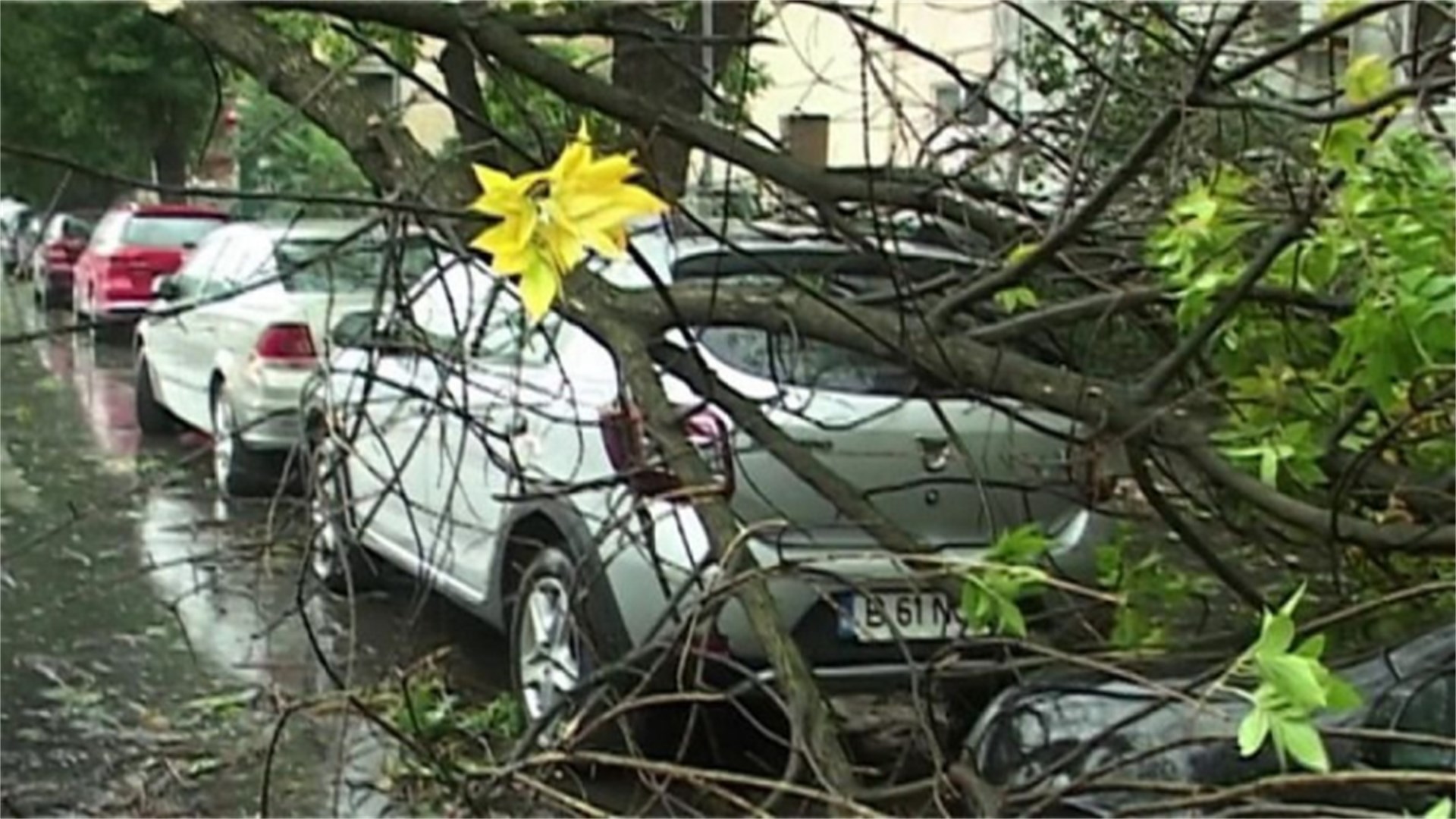Uragan se približava Njemačkoj: Izdana upozorenja! 