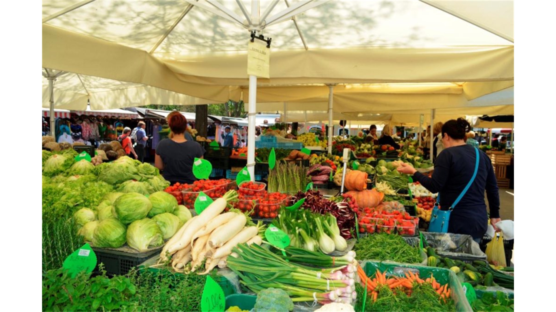 ŽALOSNO: Jedemo krumpir iz Egipta, luk iz Kine, grah iz Maroka i Argentine..