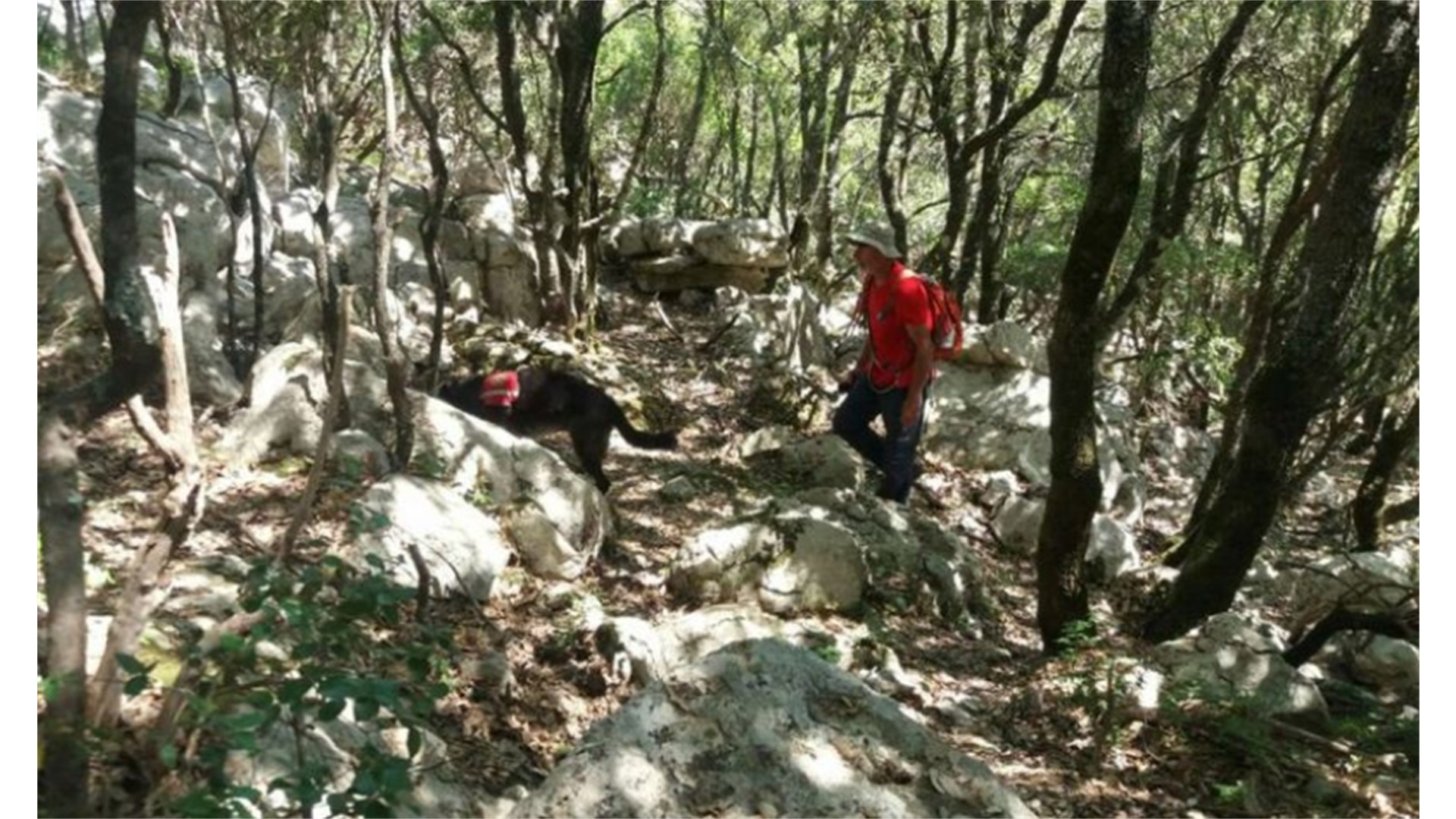 U FBiH lani prijavljen nestanak 277 osoba, još uvijek se traga za njih 57