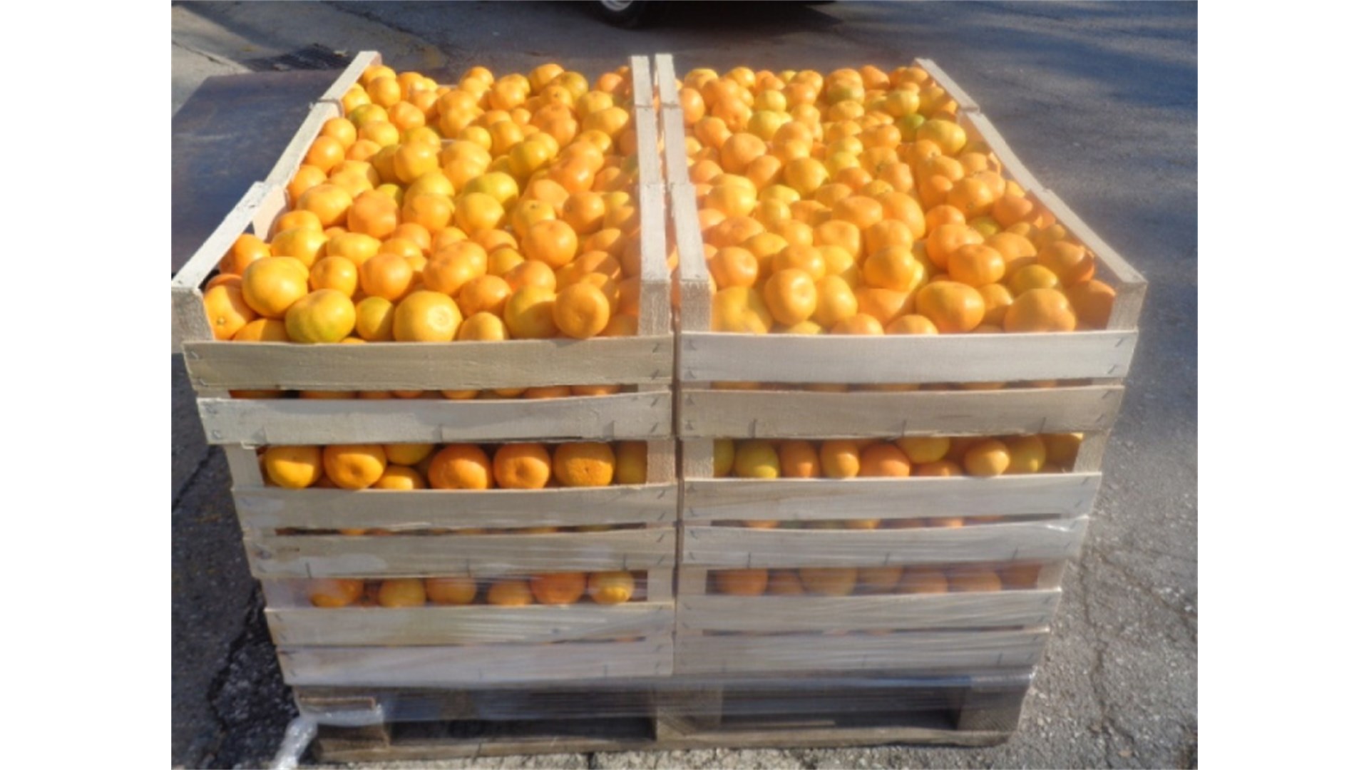 Tone mandarina propadaju u dolini Neretve