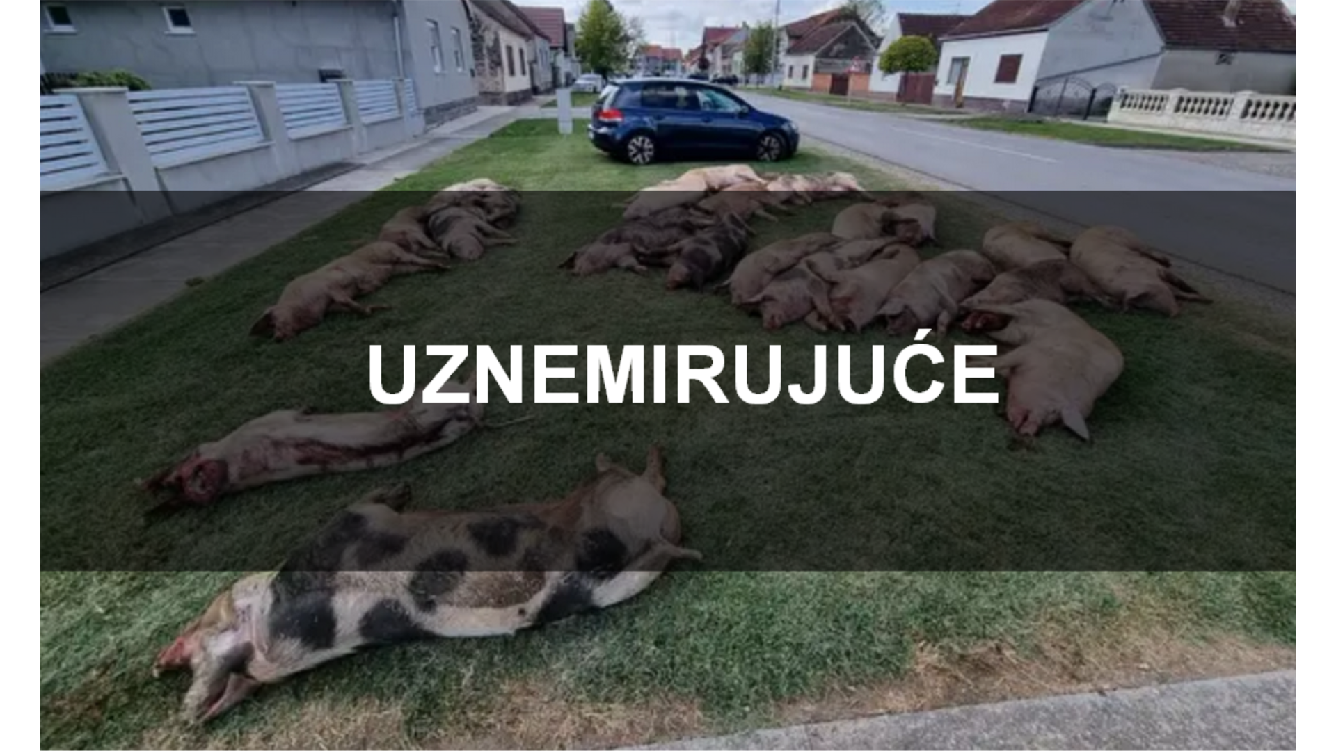 Ministar poljoprivrede: Ne isključujem da se radi o specijalnom ratu protiv Hrvatske