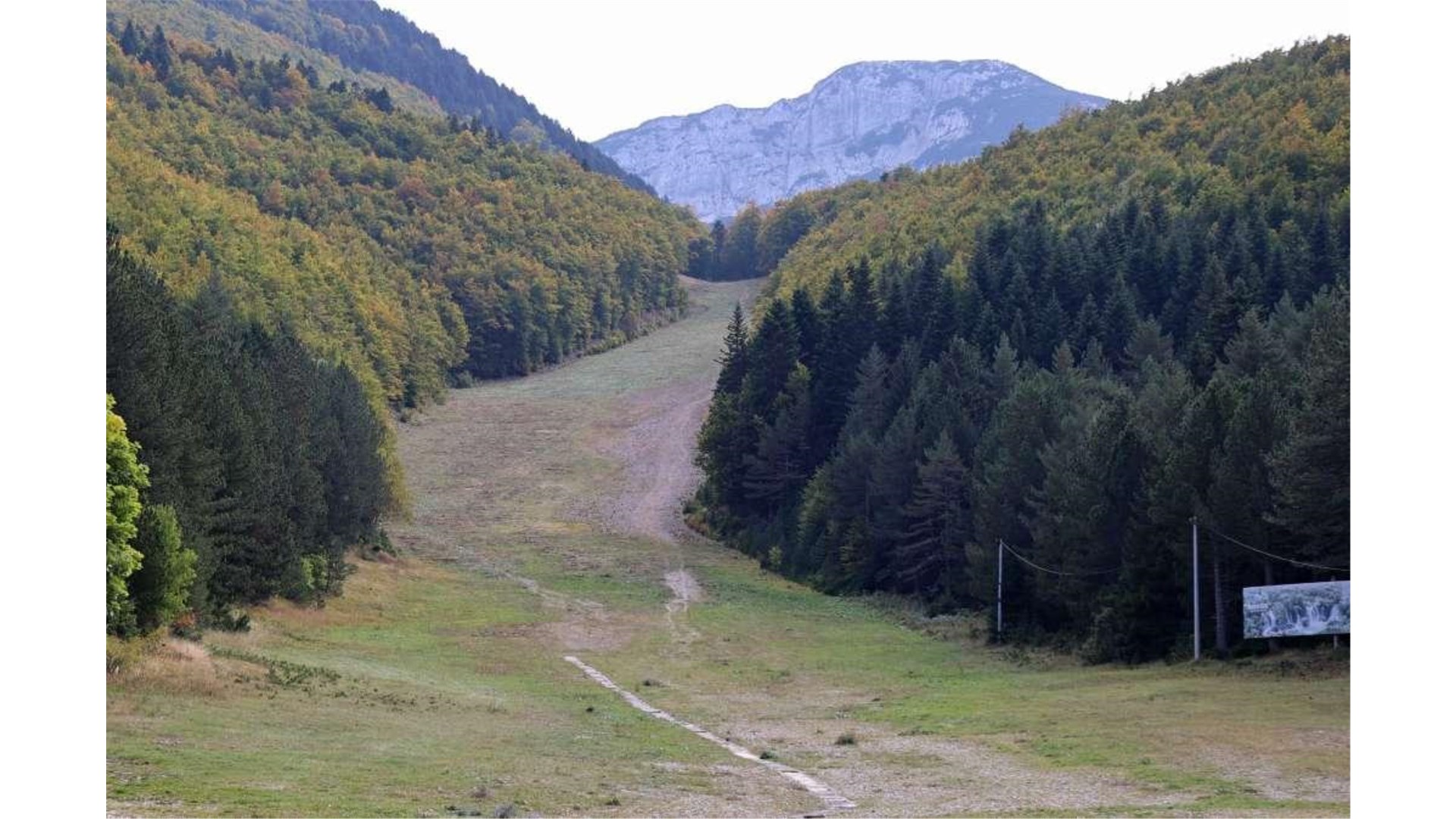 U pošumljavanju Vrana i Ljubuše sudjeluju članovi HPD Grude