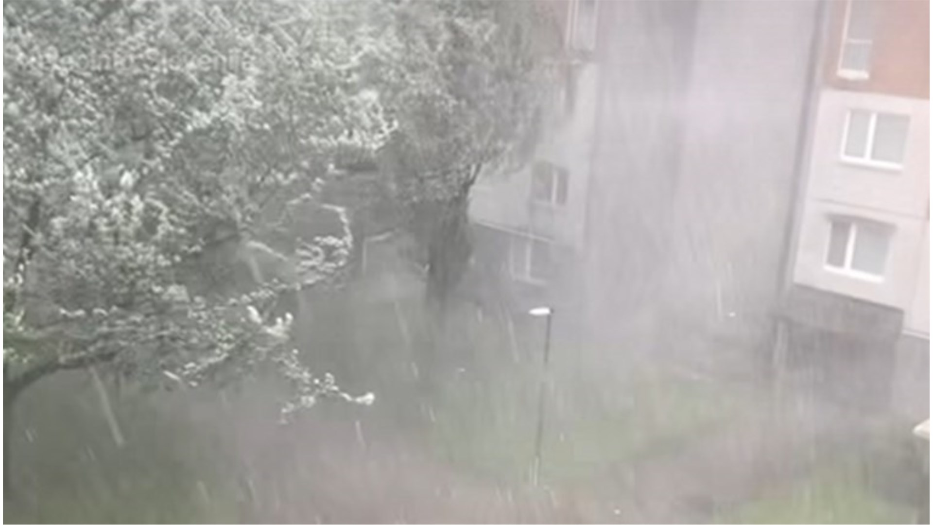VIDEO Snažna oluja u Sloveniji. Vjetar čupao stabla, uništavao krovove 