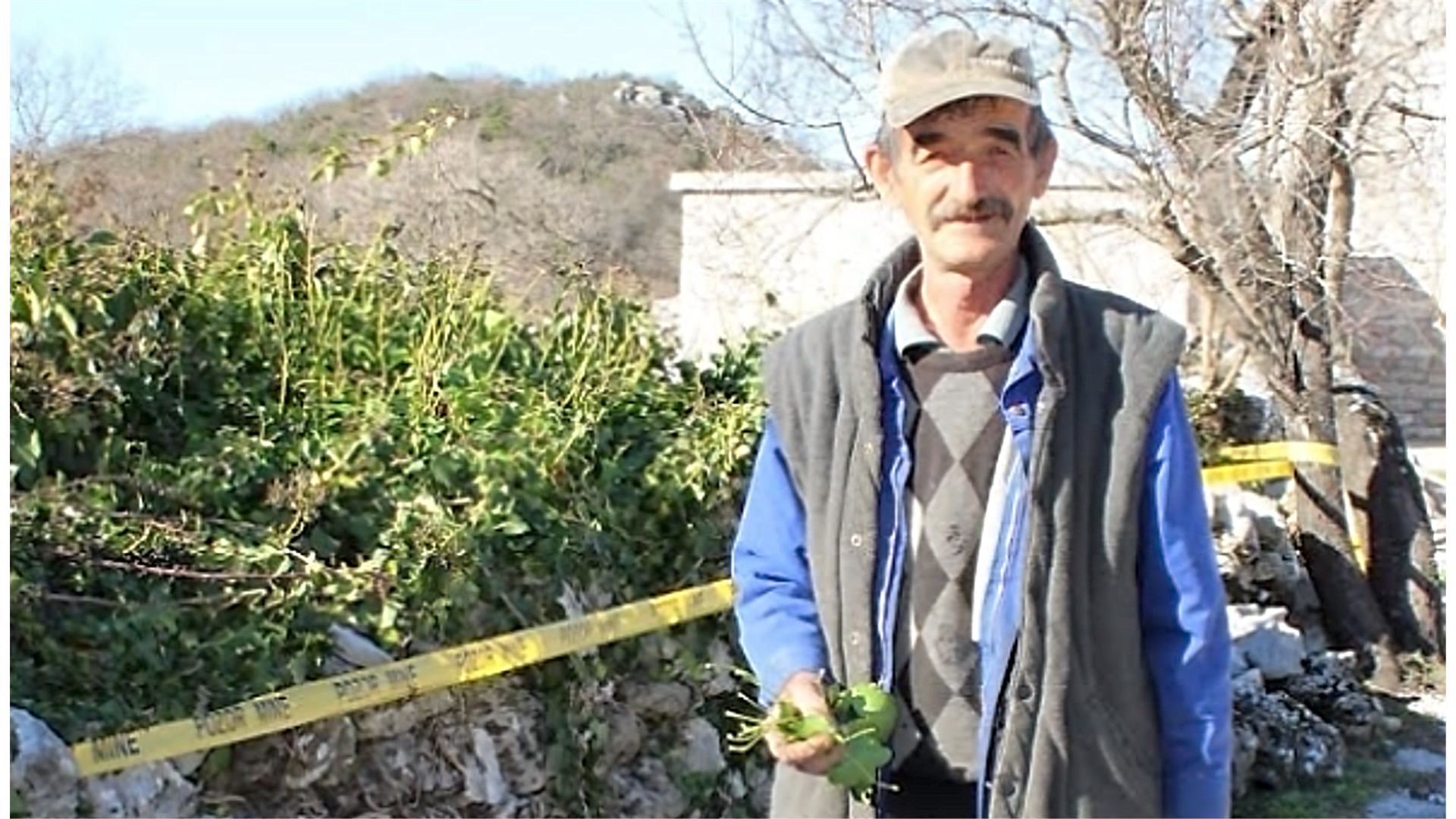 Umirovljenik Ilija bere samo jednu biljku i uzme više od 150 eura dnevno, sve izveze u Njemačku