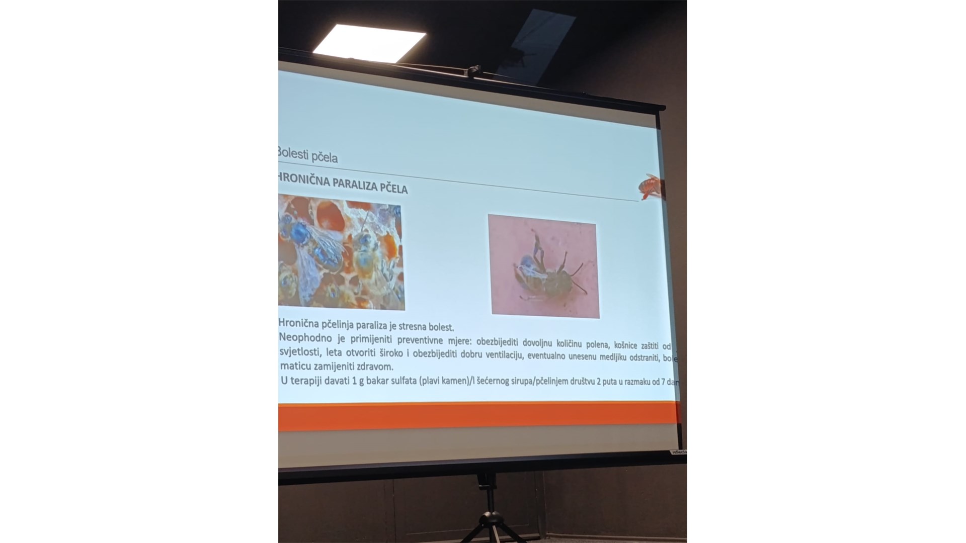 U Grudama održano stručno predavanje za pčelare FOTO