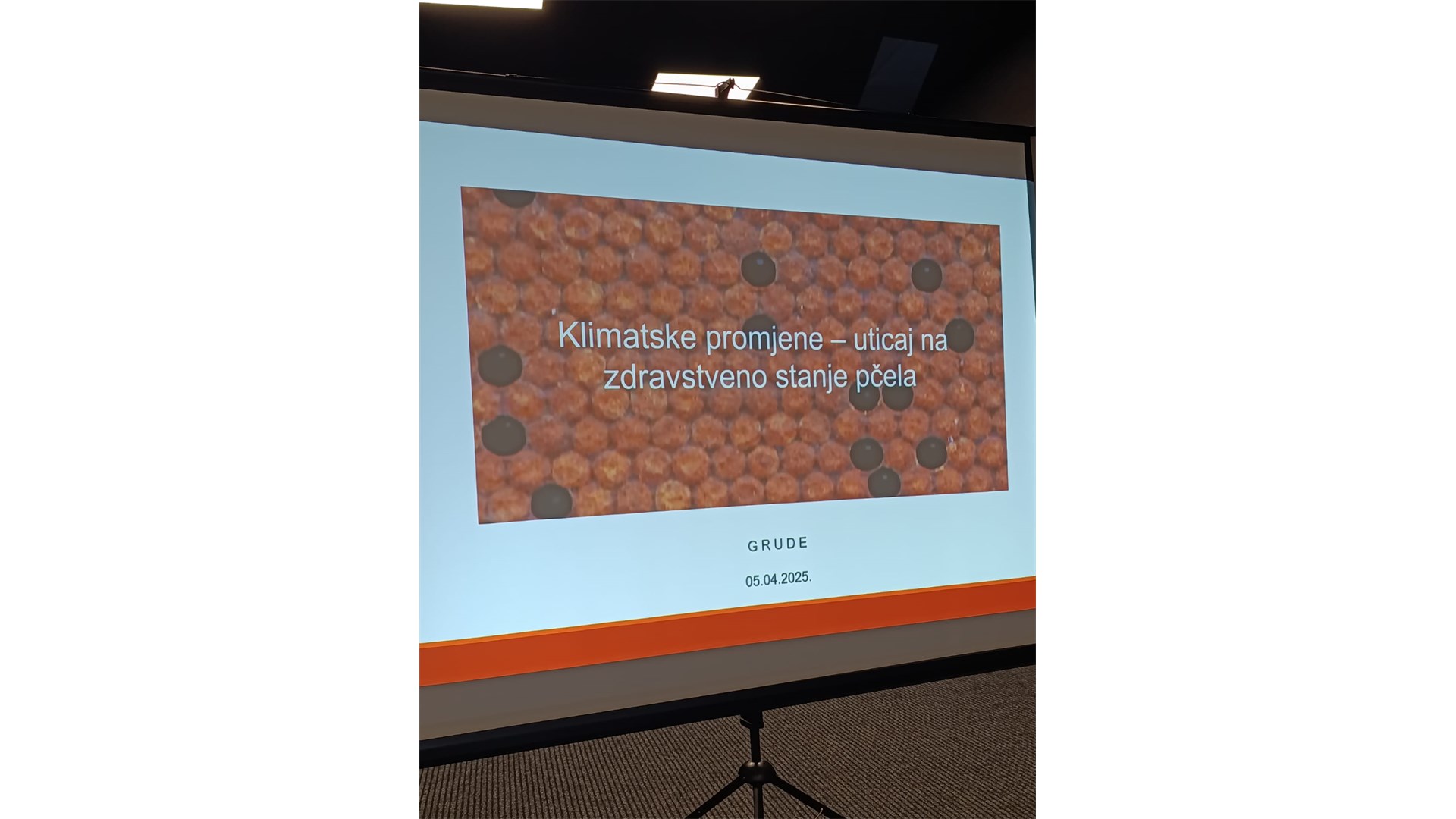 U Grudama održano stručno predavanje za pčelare FOTO