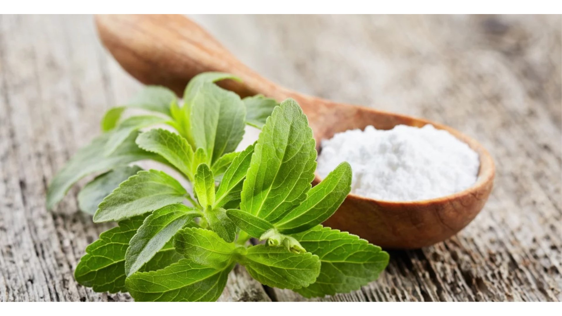 Studija: Stevia ubija stanice raka, a ne šteti zdravima 