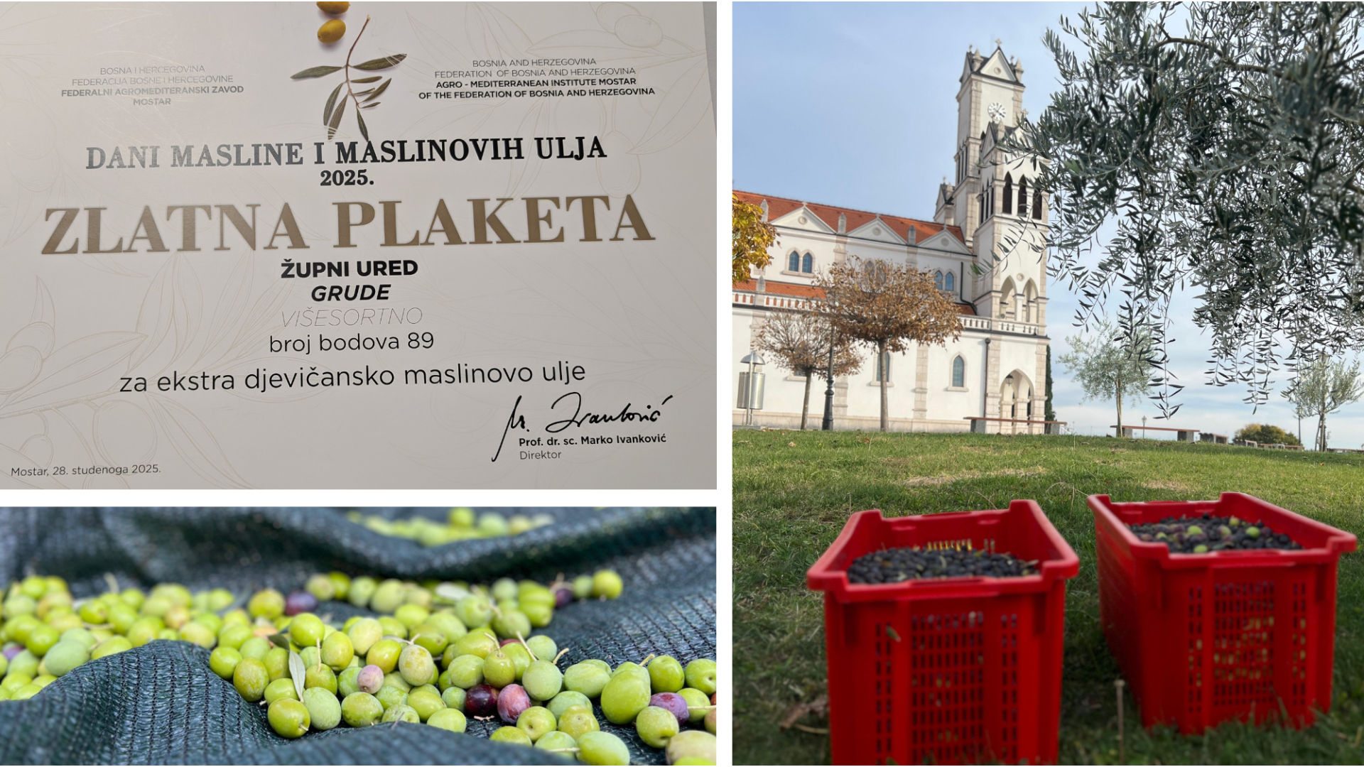 FOTO: Fra Stanku Pavloviću i Župnom uredu Grude ZLATNA PLAKETA za višesortno maslinovo ulje! Zlatom se okitio i Svemir Miloš