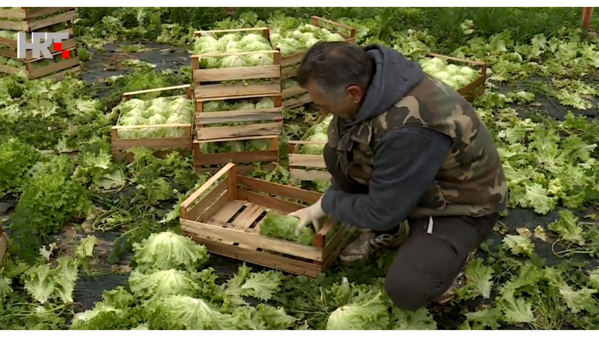 Nasadi u dolini Neretve pod vodom, niska otkupna cijena dodatni udarac