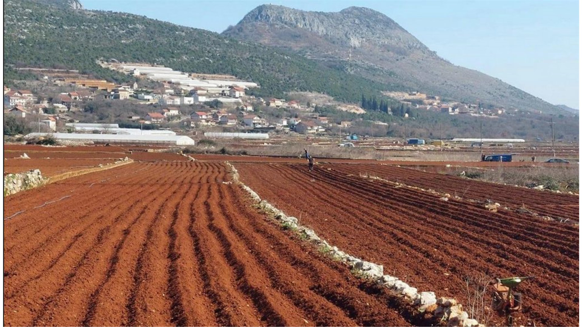 Ljubušaci zasadili 85 posto planirane količine krumpira