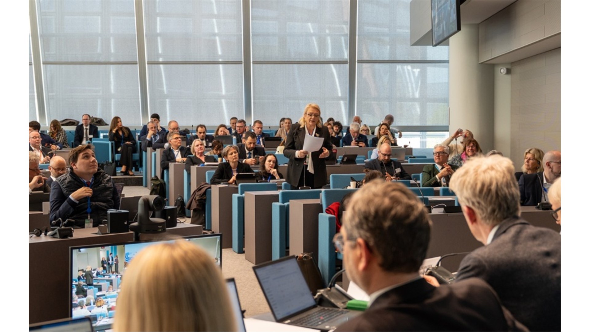 Bradara izabrana za potpredsjednicu Doma regija Vijeća Europe