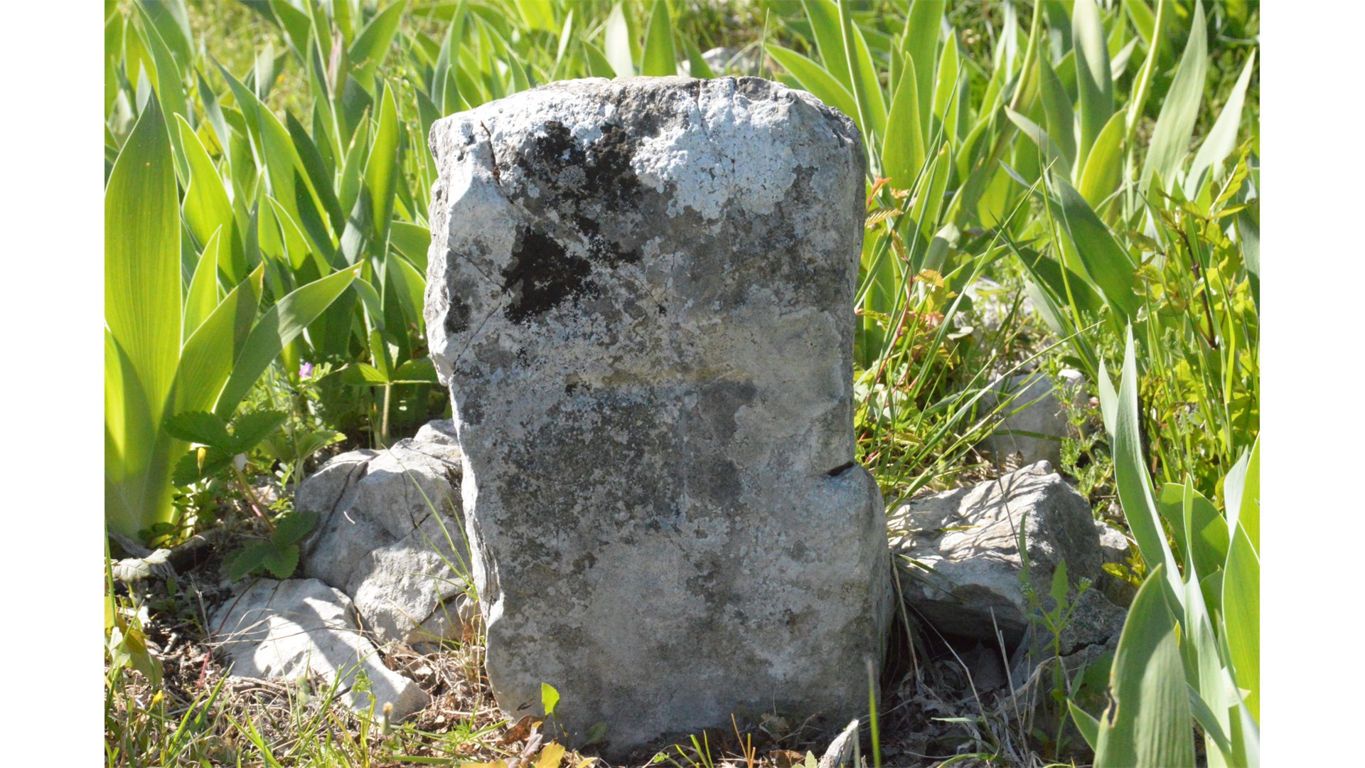 Mještani Medovića obnovili staro Svatovsko groblje, evo što se tu dogodilo FOTO
