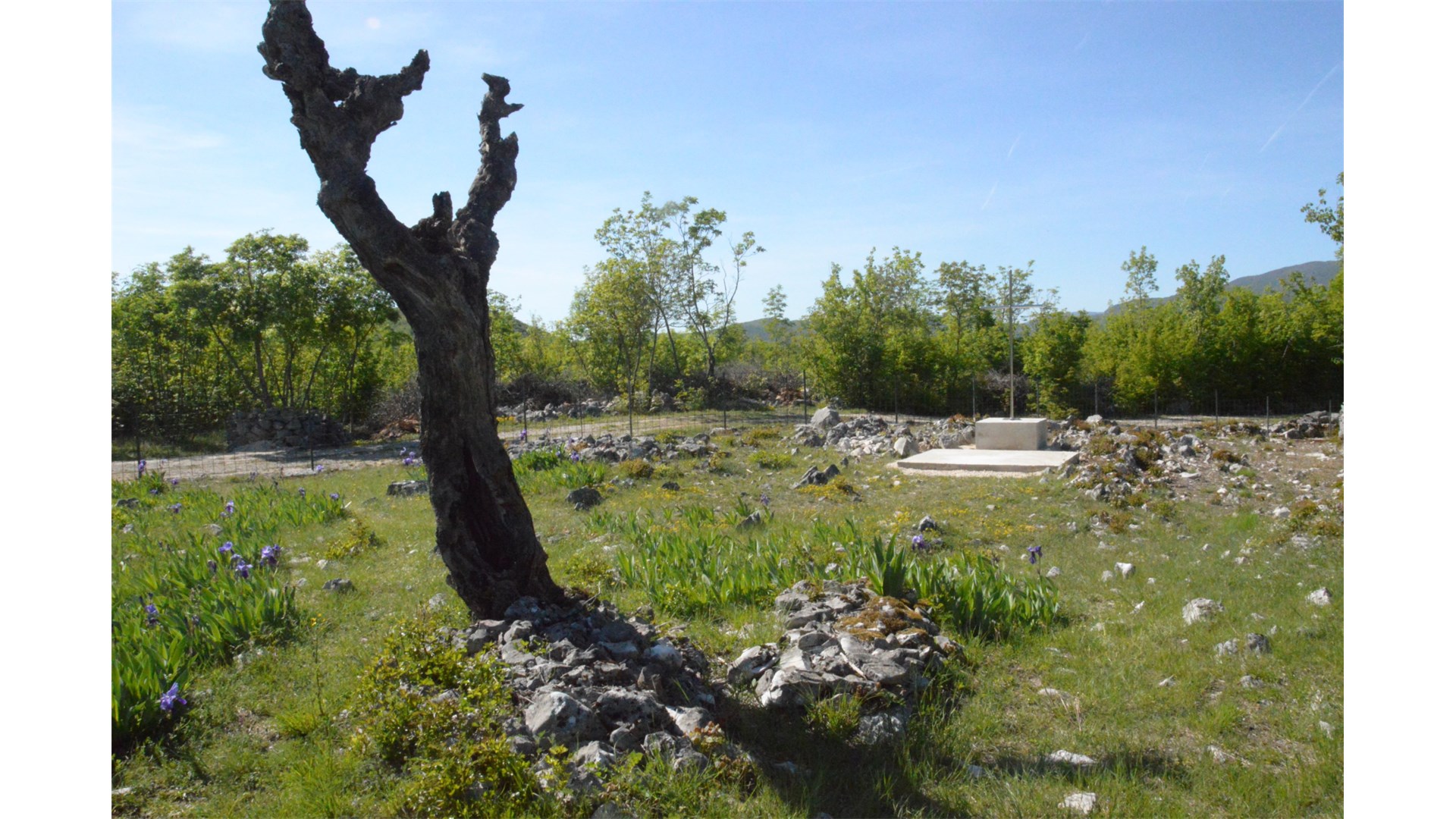 Mještani Medovića obnovili staro Svatovsko groblje, evo što se tu dogodilo FOTO